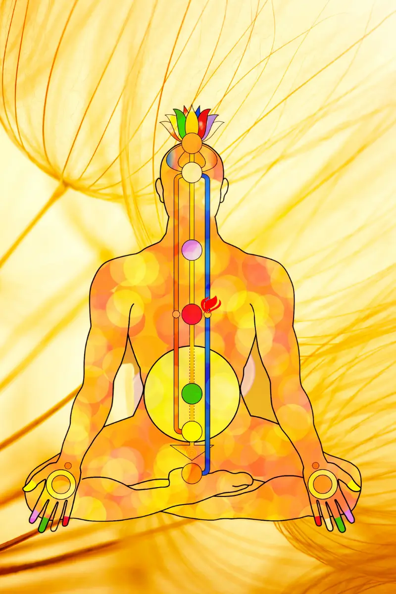 Enseignement les 7 Chakras Nicole di Benedetto