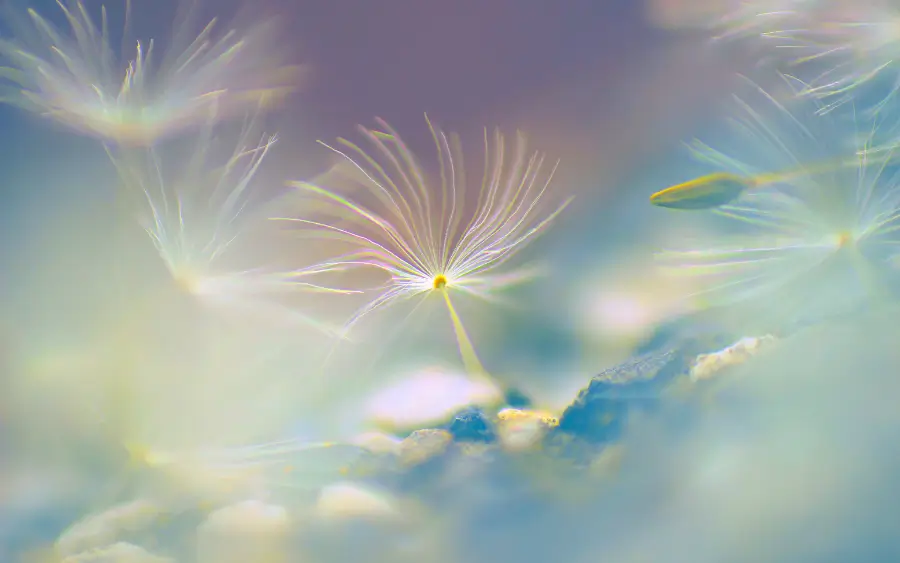 LE REIKI : SOIN ENERGETIQUE POUR APAISER LES DOULEURS PHYSIQUES