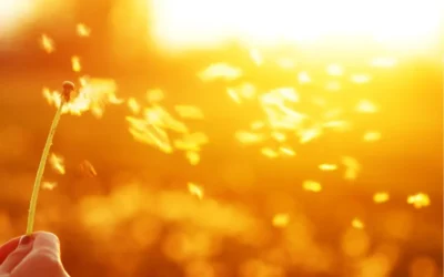 REIKI ET SPIRITUALITÉ