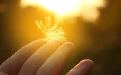 Pourquoi s’initier au Reiki ?